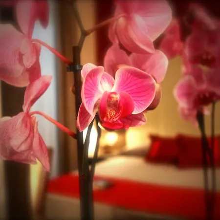 Andrea Doria 2* Rome